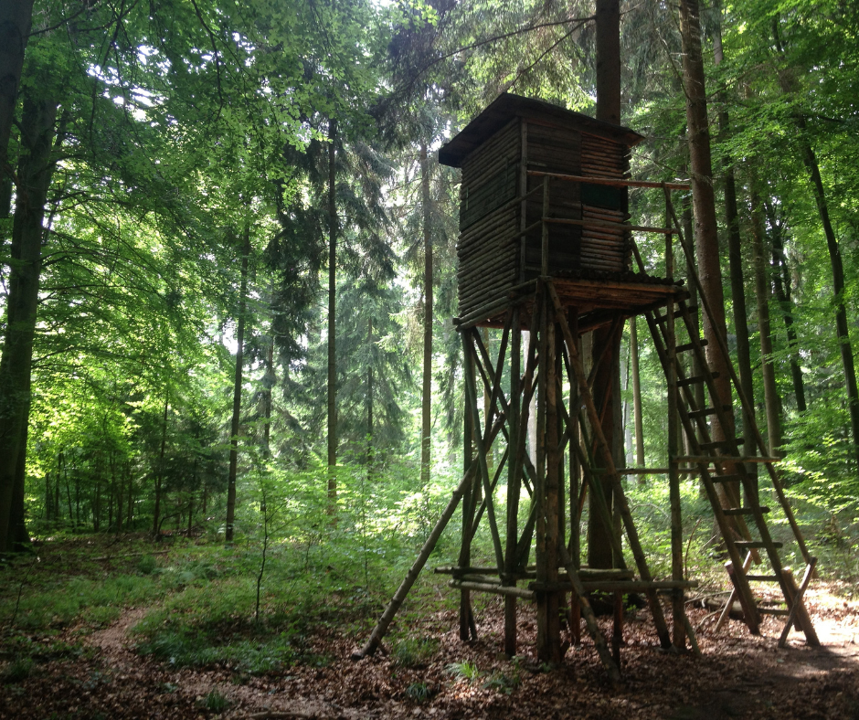 elevated tree stand structure used in hunting